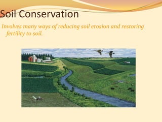 Soil Conservation
Involves many ways of reducing soil erosion and restoring
  fertility to soil.
 