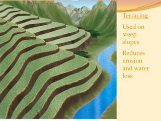 Terracing
Used on
steep
slopes
Reduces
erosion
and water
loss
 