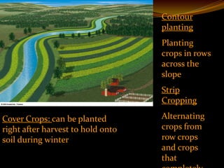 Contour
                                   planting
                                   Planting
                                   crops in rows
                                   across the
                                   slope
                                   Strip
                                   Cropping

Cover Crops: can be planted        Alternating
right after harvest to hold onto   crops from
soil during winter                 row crops
                                   and crops
                                   that
 