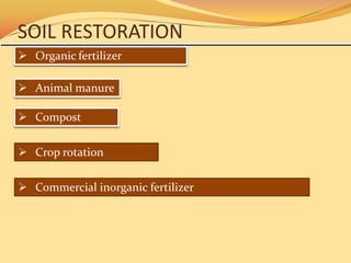 SOIL RESTORATION
 Organic fertilizer

 Animal manure

 Compost


 Crop rotation

 Commercial inorganic fertilizer
 
