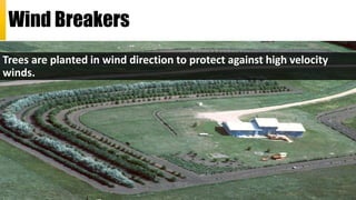 Land resources , soil erosion and land degradation | PPTX