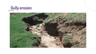 Land Resources.pptx