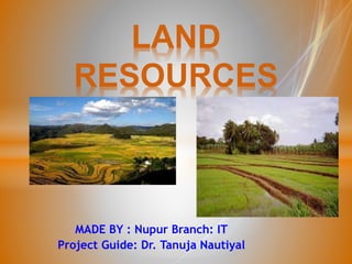 MADE BY : Nupur Branch: IT
Project Guide: Dr. Tanuja Nautiyal
LAND
RESOURCES
 
