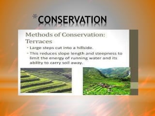 *CONSERVATION
 