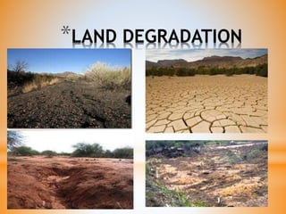*LAND DEGRADATION
 