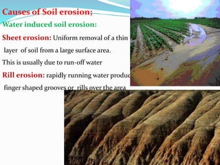 Causes of Soil erosion;
Water induced soil erosion:
Sheet erosion: Uniform removal of a thin
layer of soil from a large surface area.
This is usually due to run-off water
Rill erosion: rapidly running water produces
finger shaped grooves or rills over the area
 