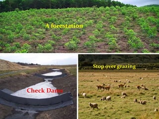 A forestation
Check Dams
Stop over grazing
 
