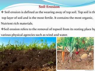 Soil Erosion
 Soil erosion is defined as the wearing away of top soil. Top soil is th
top layer of soil and is the most fertile. It contains the most organic,
Nutrient rich materials.
Soil erosion refers to the removal of topsoil from its resting place by
various physical agencies such as wind and water.
 