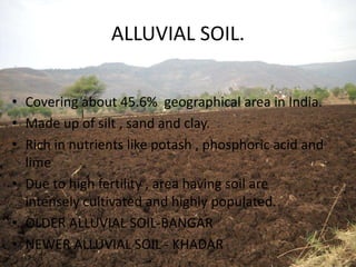 ALLUVIAL SOIL.
• Covering about 45.6% geographical area in India.
• Made up of silt , sand and clay.
• Rich in nutrients like potash , phosphoric acid and
lime
• Due to high fertility , area having soil are
intensely cultivated and highly populated.
• OLDER ALLUVIAL SOIL-BANGAR
• NEWER ALLUVIAL SOIL - KHADAR
 