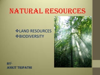 NATURAL RESOURCES
LAND RESOURCES
BIODIVERSITY

BYANKIT TRIPATHI

 