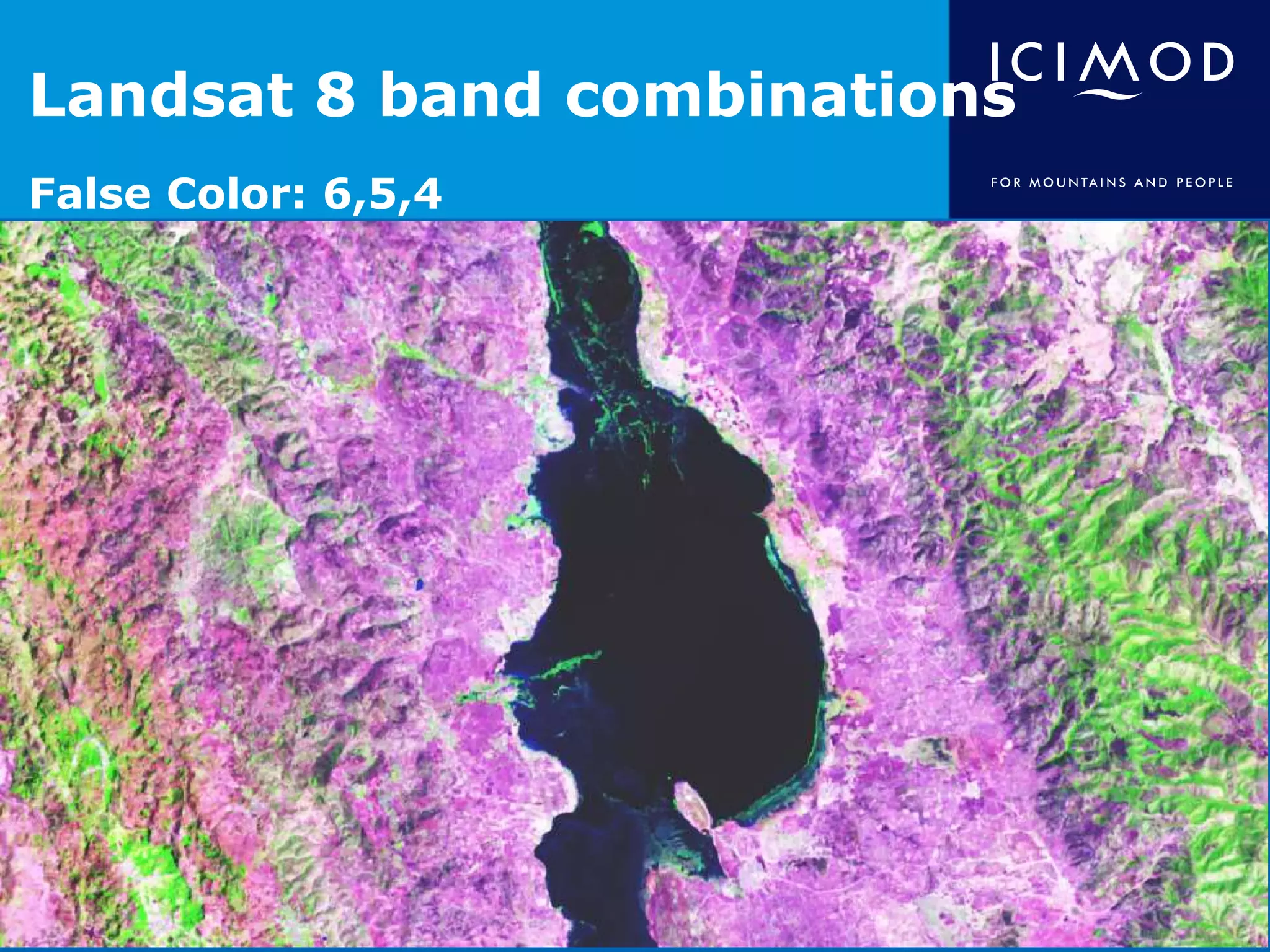 Landsat 8 band combinations
False Color: 6,5,4