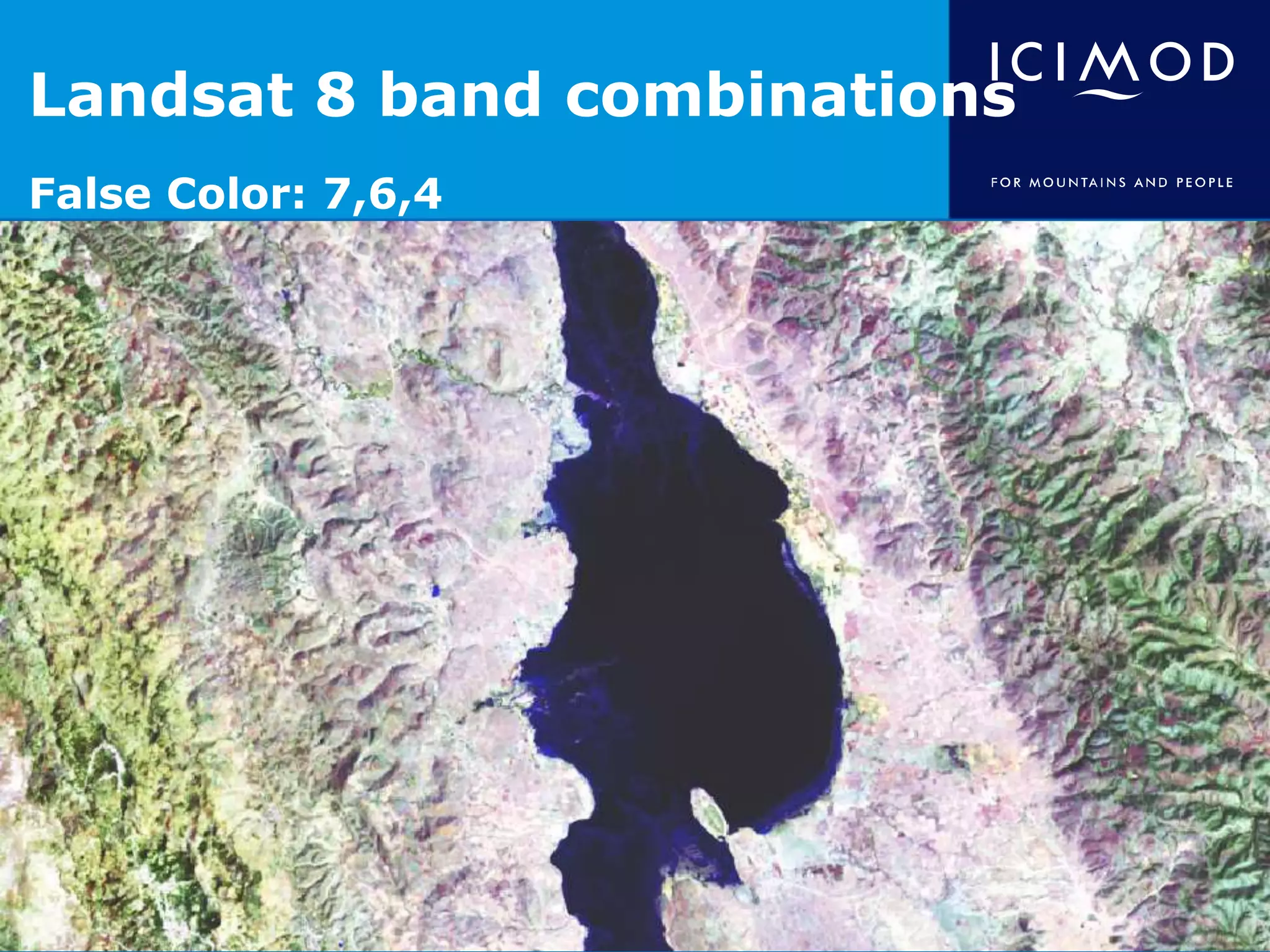 Landsat 8 band combinations
False Color: 7,6,4