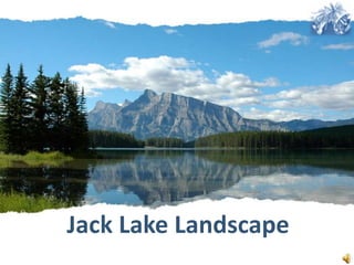 Jack Lake Landscape 