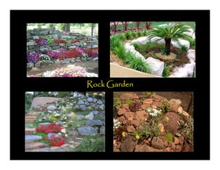 Rock Garden
 