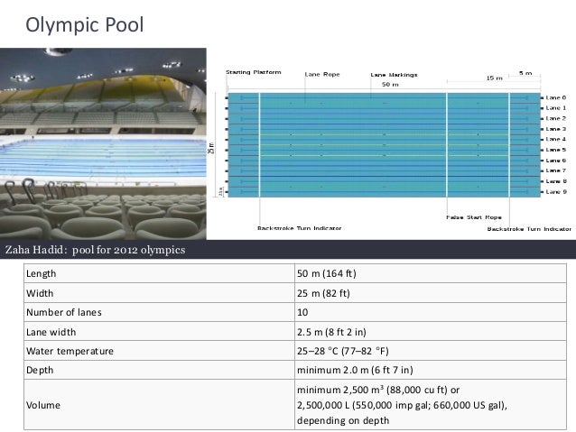 swimming pool diagram source swimming pool lane width perplexcitysentinel com - Olympic Size Swimming Pool Dimensions swimming pool diagram source swimming pool lane width perplexcitysentinel com - Olympic Size Swimming Pool Dimensions