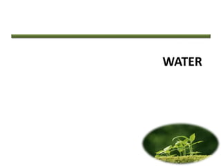 WATER
 