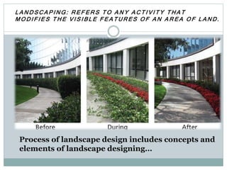 Process Landcapes Landscape | PPTX
