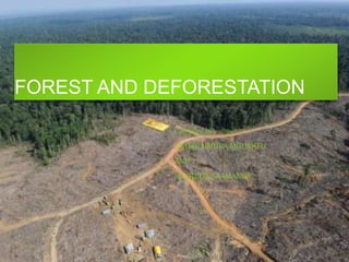 FOREST AND DEFORESTATION
Compiled by
WAPULUMUKA MULWAFU
AND
JACQUILINE KAMANGA
 