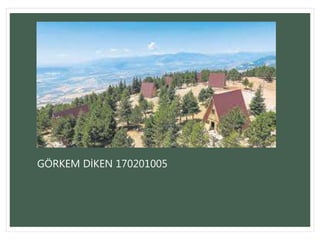 GÖRKEM DİKEN 170201005
 