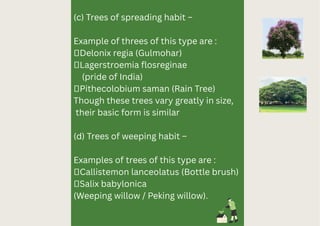 Isa Tree Planting Guide.pdf Comprehensive Guide to Landscape Planting Design and Transplanting ...