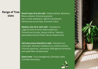 Isa Tree Planting Guide.pdf Comprehensive Guide to Landscape Planting Design and Transplanting ...