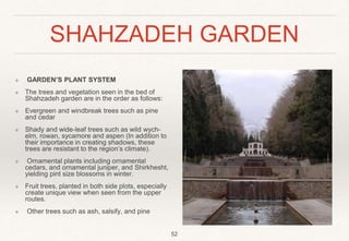 SHAHZADEH GARDEN
❖ GARDEN’S PLANT SYSTEM
❖ The trees and vegetation seen in the bed of
Shahzadeh garden are in the order as follows:
❖ Evergreen and windbreak trees such as pine
and cedar
❖ Shady and wide-leaf trees such as wild wych-
elm, rowan, sycamore and aspen (In addition to
their importance in creating shadows, these
trees are resistant to the region’s climate).
❖ Ornamental plants including ornamental
cedars, and ornamental juniper, and Shirkhesht,
yielding pint size blossoms in winter.
❖ Fruit trees, planted in both side plots, especially
create unique view when seen from the upper
routes.
❖ Other trees such as ash, salsify, and pine
52
 