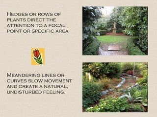 Hedges or rows of
plants direct the
attention to a focal
point or specific area
Meandering lines or
curves slow movement
and create a natural,
undisturbed feeling.
 