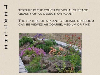 texture is the touch or visual surface
quality of an object, or plant
The texture of a plant's foliage or bloom
can be viewed as coarse, medium or fine.
T
e
x
t
u
r
e
 