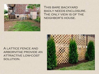 This bare backyard
badly needs enclosure.
The only view is of the
neighbor's house.
A lattice fence and
arborvitae provide an
attractive low-cost
solution.
 