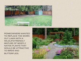 Homeowners wanted
to replace the worn-
out lawn with a
wildlife-friendly
mixture of mostly
native plants that
would be attractive
to birds and
butterflies.
 