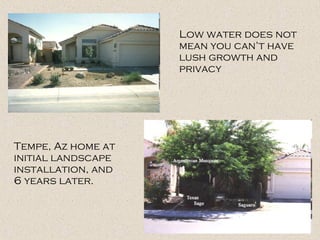 Low water does not
mean you can’t have
lush growth and
privacy
Tempe, Az home at
initial landscape
installation, and
6 years later.
 