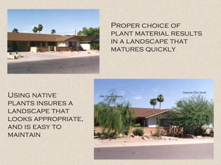 Proper choice of
plant material results
in a landscape that
matures quickly
Using native
plants insures a
landscape that
looks appropriate,
and is easy to
maintain
 