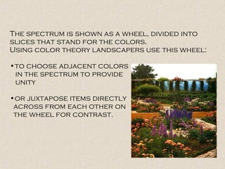 The spectrum is shown as a wheel, divided into
slices that stand for the colors.
Using color theory landscapers use this wheel:
•to choose adjacent colors
in the spectrum to provide
unity
•or juxtapose items directly
across from each other on
the wheel for contrast.
 