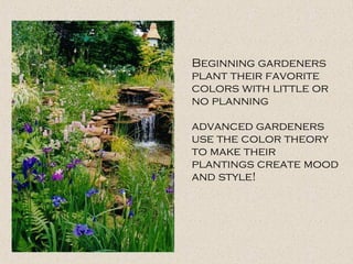 Beginning gardeners
plant their favorite
colors with little or
no planning
advanced gardeners
use the color theory
to make their
plantings create mood
and style!
 