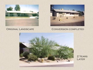 Original Landscape  Conversion completed 2 Years Later 