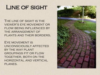 The line of sight is the viewer's eye movement or flow being influenced by the arrangement of plants and their borders.  E...