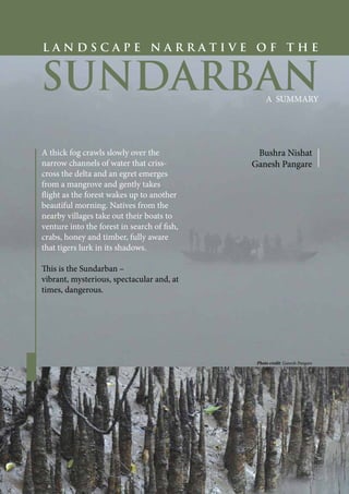 1
L A N D S C A P E N A R R A T I V E O F T H E
SUNDARBAN
A SUMMARY
Bushra Nishat
Ganesh Pangare
A thick fog crawls slowly over the
narrow channels of water that criss-
cross the delta and an egret emerges
from a mangrove and gently takes
flight as the forest wakes up to another
beautiful morning. Natives from the
nearby villages take out their boats to
venture into the forest in search of fish,
crabs, honey and timber, fully aware
that tigers lurk in its shadows.
This is the Sundarban –
vibrant, mysterious, spectacular and, at
times, dangerous.
Photo credit: Ganesh Pangare
 