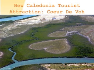 New Caledonia Tourist
Attraction: Coeur De Voh
 