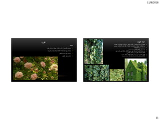 11/8/2018
11
‫الورد‬
‫أهميته‬
•‫عطرة‬ ‫ورائحة‬ ‫جميلة‬ ‫الوان‬ ‫من‬ ‫له‬ ‫لما‬ ‫للتزيين‬ ‫يستخدم‬
•‫الغذائية‬ ‫الصناعات‬ ‫في‬ ‫يستخدم‬(‫الورد‬ ‫شراب‬ ‫مثل‬)
•‫العطر‬ ‫صناعة‬ ‫في‬ ‫يستخدم‬
•‫ا‬‫نتاج‬‫ازهار‬‫القطف‬
•‫شقة‬َ‫ع‬‫ال‬‫ْل‬‫ب‬َ‫ح‬ ‫أو‬‫ِين‬‫ك‬‫ا‬َ‫س‬َ‫م‬‫ال‬‫َب‬‫ال‬ْ‫ب‬َ‫ل‬‫ال‬ ‫أو‬‫ير‬ِ‫ب‬َ‫ك‬‫ال‬‫َب‬‫ال‬ْ‫ب‬َ‫ل‬‫ال‬ ‫أو‬‫ق‬ِِّ‫ل‬َ‫س‬َ‫ت‬ُ‫م‬‫ال‬‫أو‬‫َة‬‫ب‬ْ‫َص‬‫ع‬‫ال‬
‫أو‬‫َة‬‫ف‬ْ‫ط‬ِ‫ع‬‫ال‬‫أو‬‫َة‬‫ف‬ْ‫ط‬َ‫ع‬‫ال‬‫أو‬‫َة‬‫ف‬َ‫ط‬َ‫ع‬‫ال‬‫أو‬‫َة‬‫غ‬ْ‫ش‬َ‫ف‬‫ال‬‫أو‬‫َاغ‬‫ش‬ُ‫ف‬‫ال‬‫أو‬‫َّاغ‬‫ش‬ُ‫ف‬‫ال‬‫أو‬‫العمشق‬
•‫باإلنجليزية‬:Poison ivy
•‫جنس‬‫نباتي‬‫يتبع‬ ‫متسلق‬‫الفصيلة‬‫الفشغية‬.
•‫يزرع‬‫على‬ ‫وقادر‬ ‫كبير‬ ‫بشكل‬ ‫التكاثر‬ ‫سريع‬ ‫فهو‬ ،‫الجمالية‬ ‫لقيمته‬ ً‫ا‬‫حالي‬
‫المباني‬ ‫واجهات‬ ‫من‬ ‫كبيرة‬ ‫مساحات‬ ‫تغطية‬،
•‫بعض‬‫أنواعه‬‫الخضرة‬ ‫دائمة‬‫اآلخر‬ ‫البعض‬ ‫بينما‬‫نفضي‬.
•‫كذلك‬‫مثل‬ ً‫ا‬‫جد‬ ‫سامة‬ ‫أنواعه‬ ‫بعض‬ ‫فإن‬‫المتسلقة‬ ‫العشقة‬
‫الهيدرا‬ ‫نبات‬
 