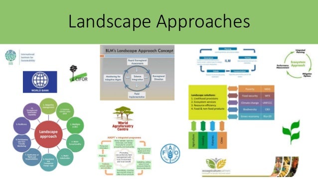 Integrated Landscape Approaches: A systematic map of the evidence