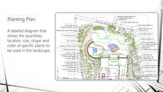 Planting Plan
A labeled diagram that
shows the quantities,
location, size, shape and
color of specific plants to
be used in the landscape.
 