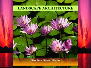 LANDSCAPE ARCHITECTURE




     Shashikant Nishant Sharma
 