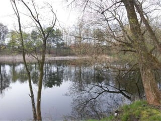 Landscape architecture