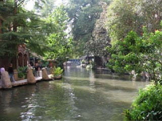 Landscape architecture