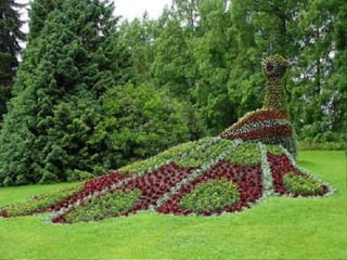 Landscape architecture