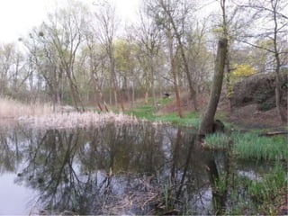 Landscape architecture