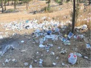 Landscape architecture