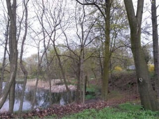 Landscape architecture