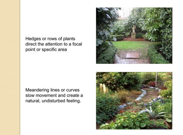 Landscape architecture in lines alaa albarmawi