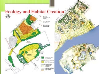 Ecology and Habitat Creation
 